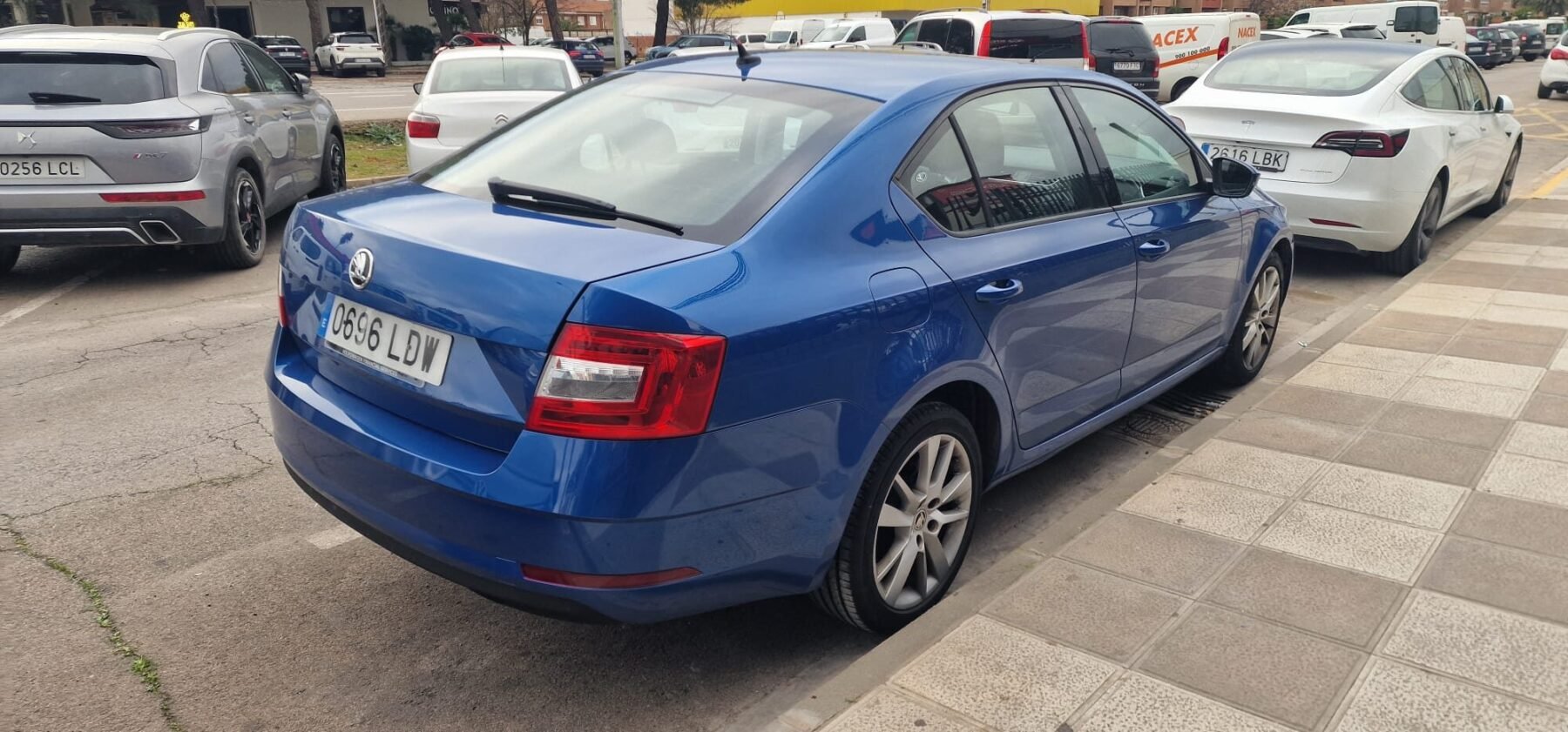 SKODA octavia 1.6 Tdi Ambition 
