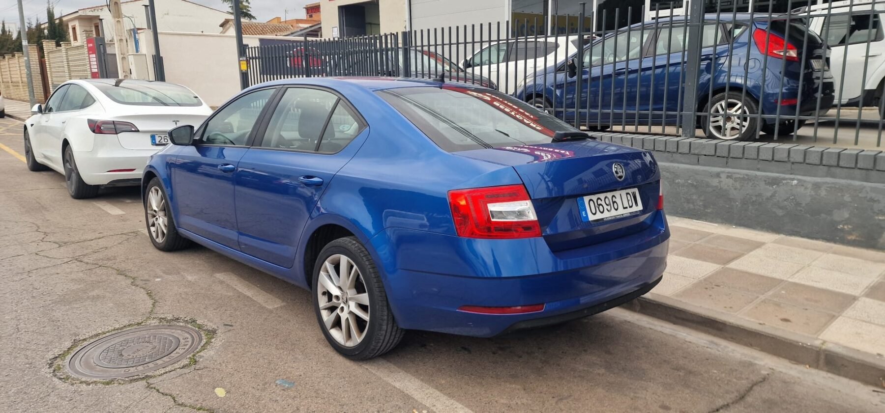 SKODA octavia 1.6 Tdi Ambition 