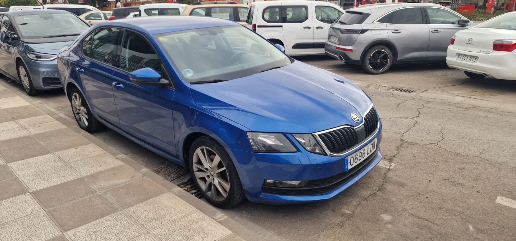 SKODA octavia 1.6 Tdi Ambition 