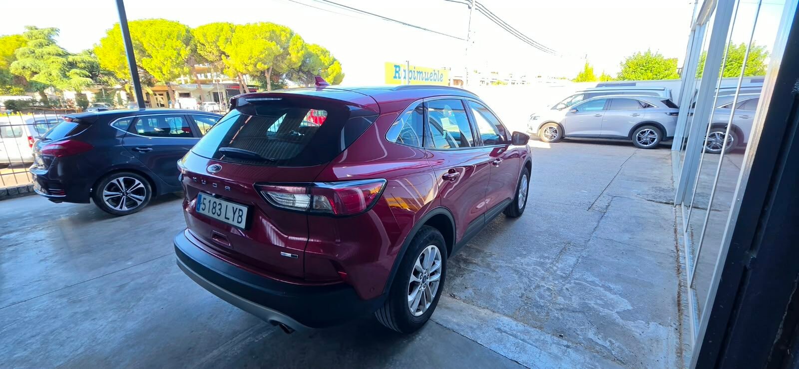 FORD KUGA  MHEV 2.0 EcoBlue 150 Titanium 5p S/S