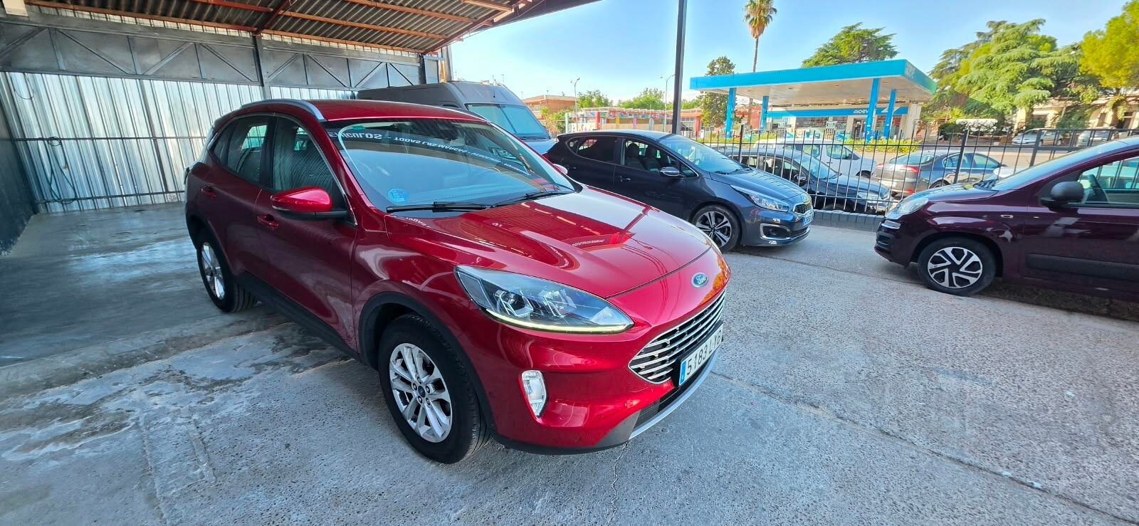 FORD KUGA  MHEV 2.0 EcoBlue 150 Titanium 5p S/S