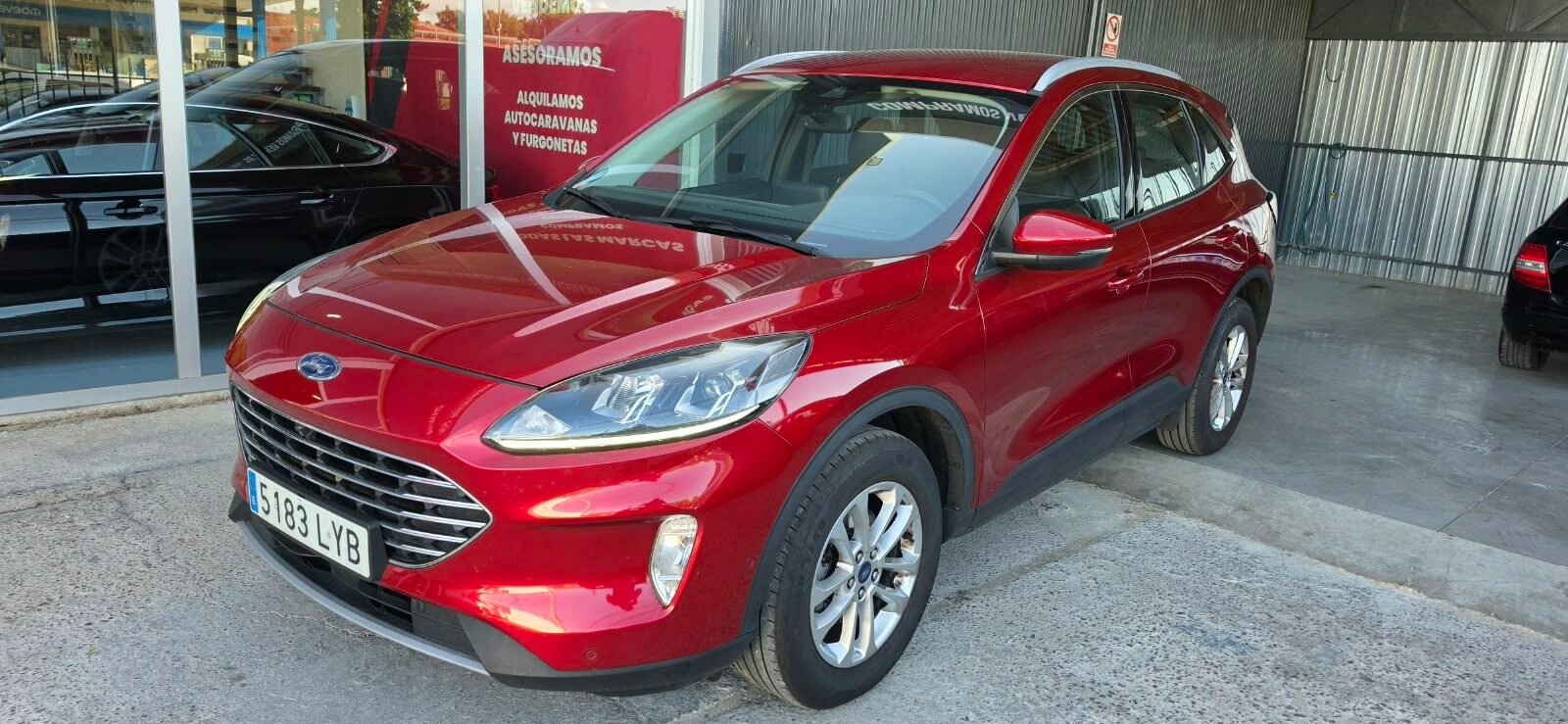 FORD KUGA  MHEV 2.0 EcoBlue 150 Titanium 5p S/S
